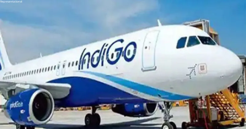 Passenger slapped mid-air on IndiGo flight; accused handed over to CISF