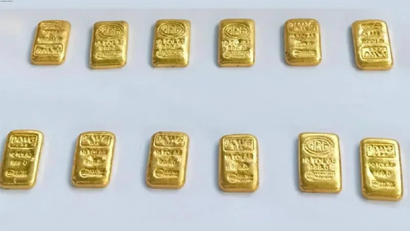 West Bengal: BSF seizes gold biscuits worth over Rs 1 cr in Murshidabad