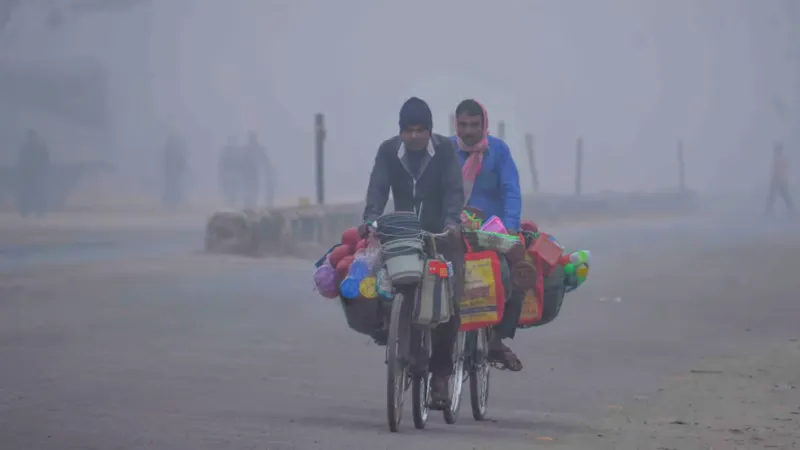 Rain likely in Punjab, Haryana, and Delhi-NCR; Cold wave to follow from Dec 9: IMD