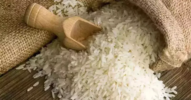 Telangana government to distribute fine rice to ration cardholders within two months