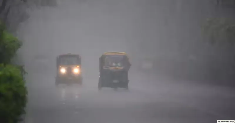 Dense fog in parts of Rajasthan, light rain likely on Dec 23-24