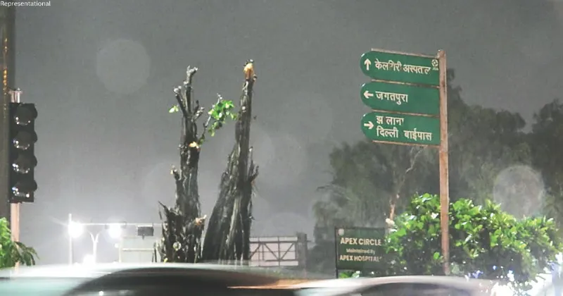 #SaveJaipurTrees trends amid uproar