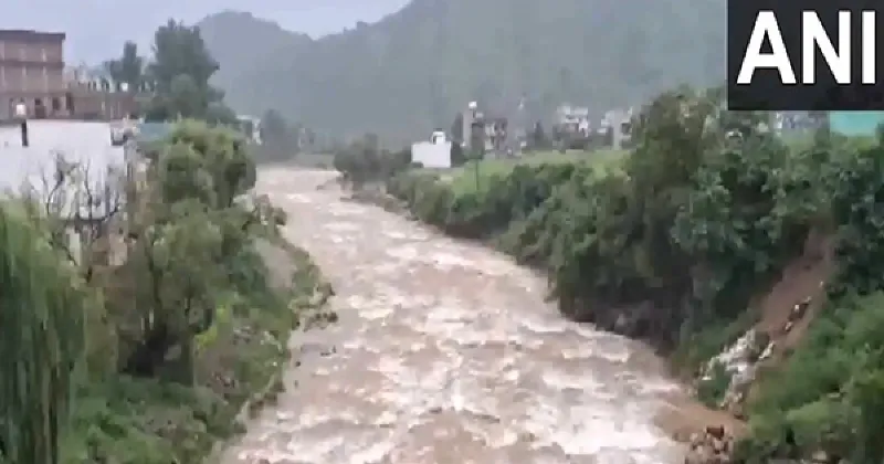 J-K: Heavy rain triggers flood-like situation in Rajouri; schools closed