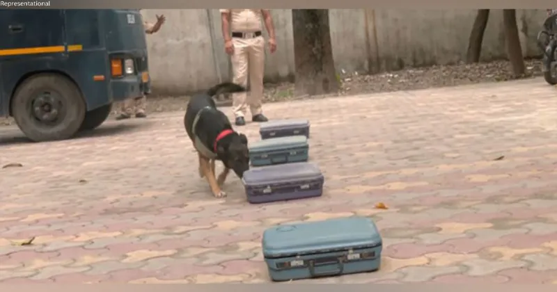 Delhi Police dogs trained not to bark when they find explosives, ahead of Independence Day