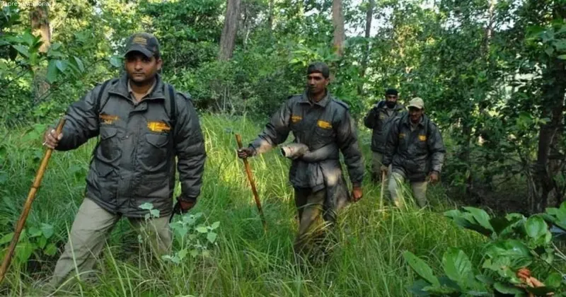 Staff shortage hits forest department administration