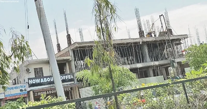 NGT halts illegal construction on forest land