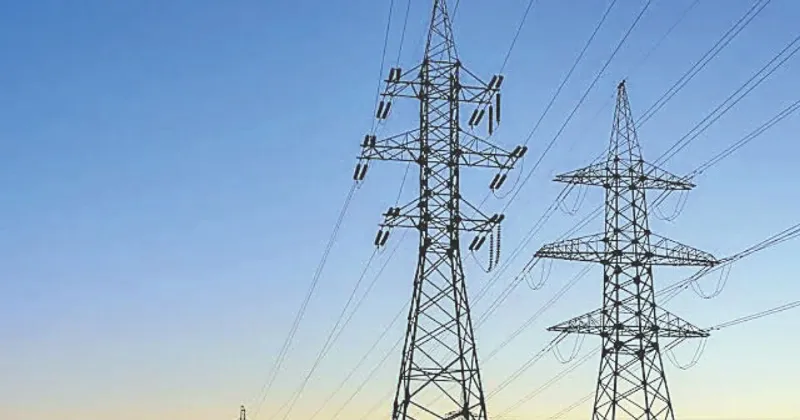 New panel to assess Raj’s future power demand