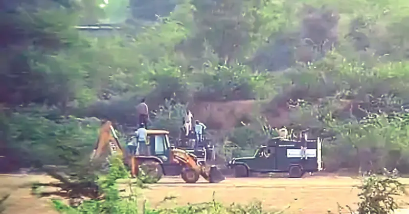 Tiger cub rescued near Ranthambore helipad