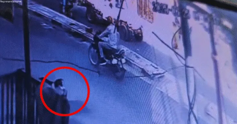 Jaisalmer: Dog seen carrying newborn’s body