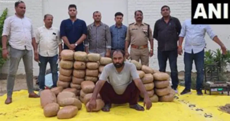 UP Police seizes 275 kg ganja worth Rs 1.5 crores, one held