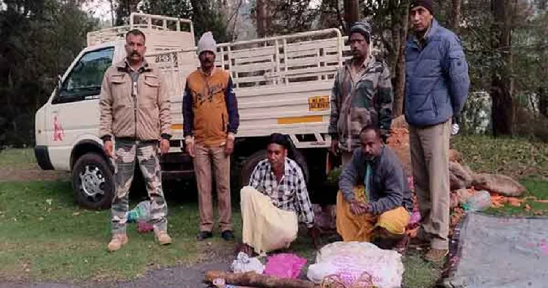 TN: Two arrested for killing bison near Ooty; Forest department on hunt for two others