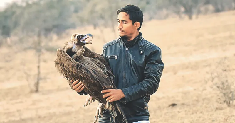 Wildlife activist, forest official among 4 killed in Jaisalmer crash