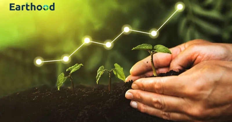 Leading the way: Earthood's Pioneering Role in Sustainable Agriculture and Climate Resilience