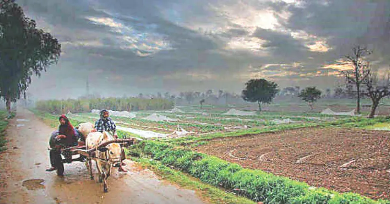 Western disturbance cools Nautapa heat in State