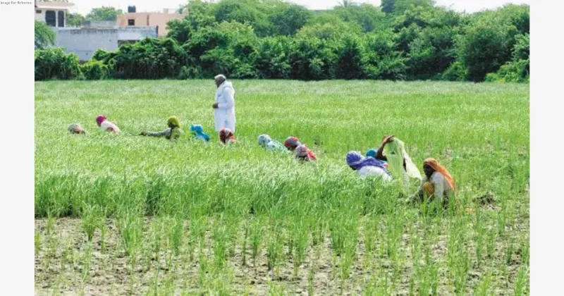 India set to harvest record Kharif crops, estimates agriculture ministry