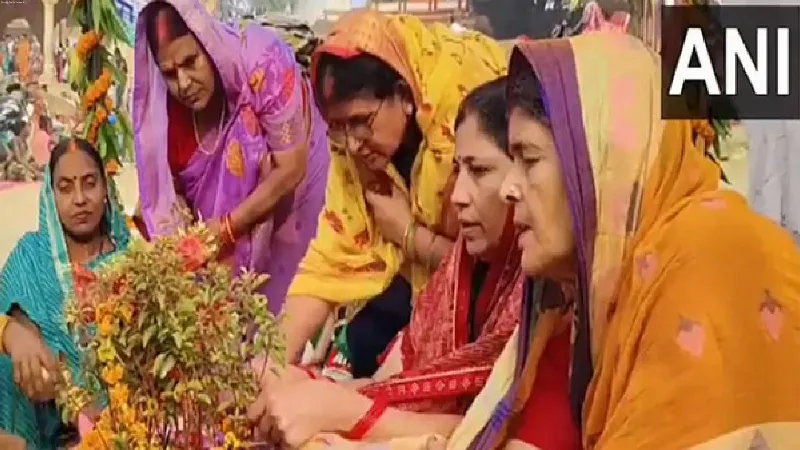 UP: Devotees celebrate 'Tulsi Vivah' at Balua Ghat in Prayagraj, marking sacred union of Lord Vishnu, Vrinda