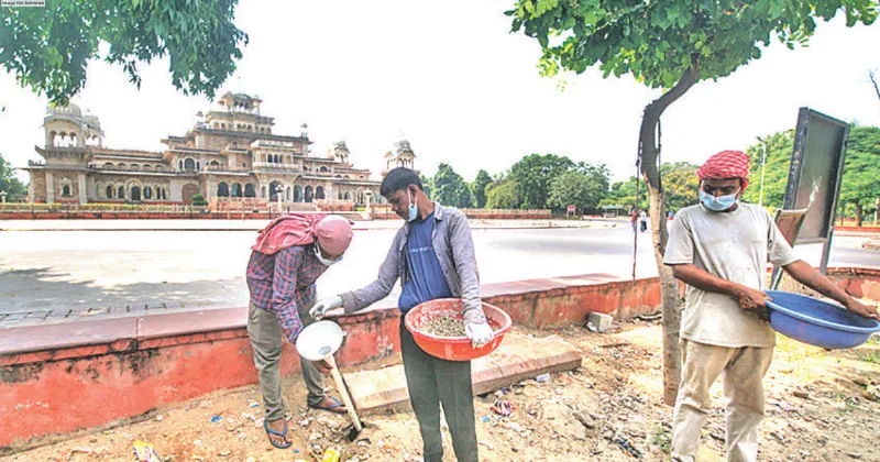 Ramniwas Bagh and Albert Hall closed for rat control