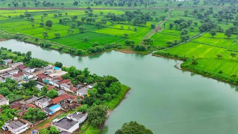 Chhattisgarh: Kanharpuri's Amrit Sarovar Pond establishes economic opportunities in Gram Panchayat of Dhamtari