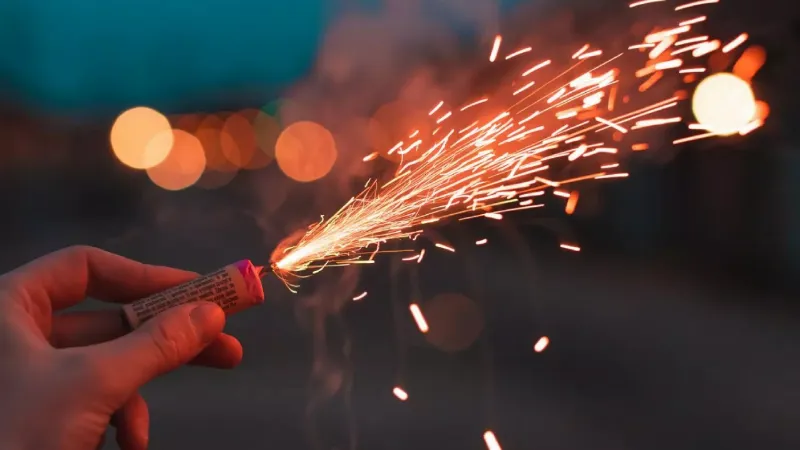 Delhi govt bans production, sale and use of firecrackers till Jan 1